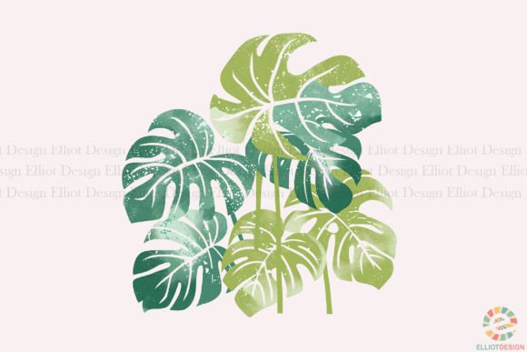 Elevate Your Designs with Lush Monstera Leaf Graphics
